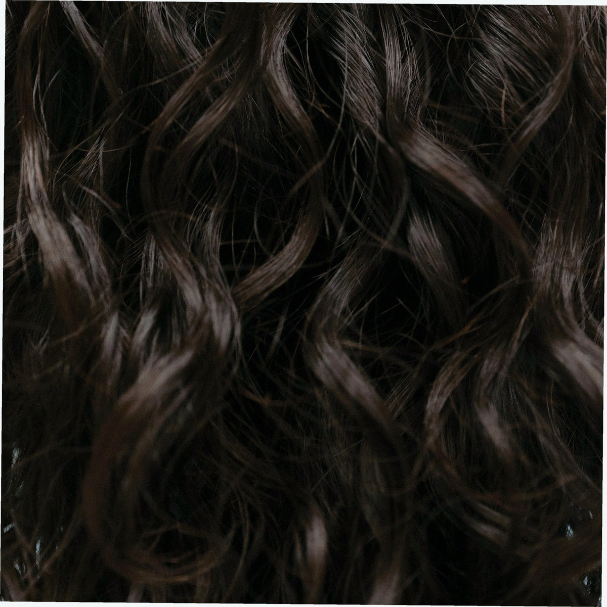 The Hydrating Conditioner