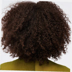 The Leave-In Conditioner