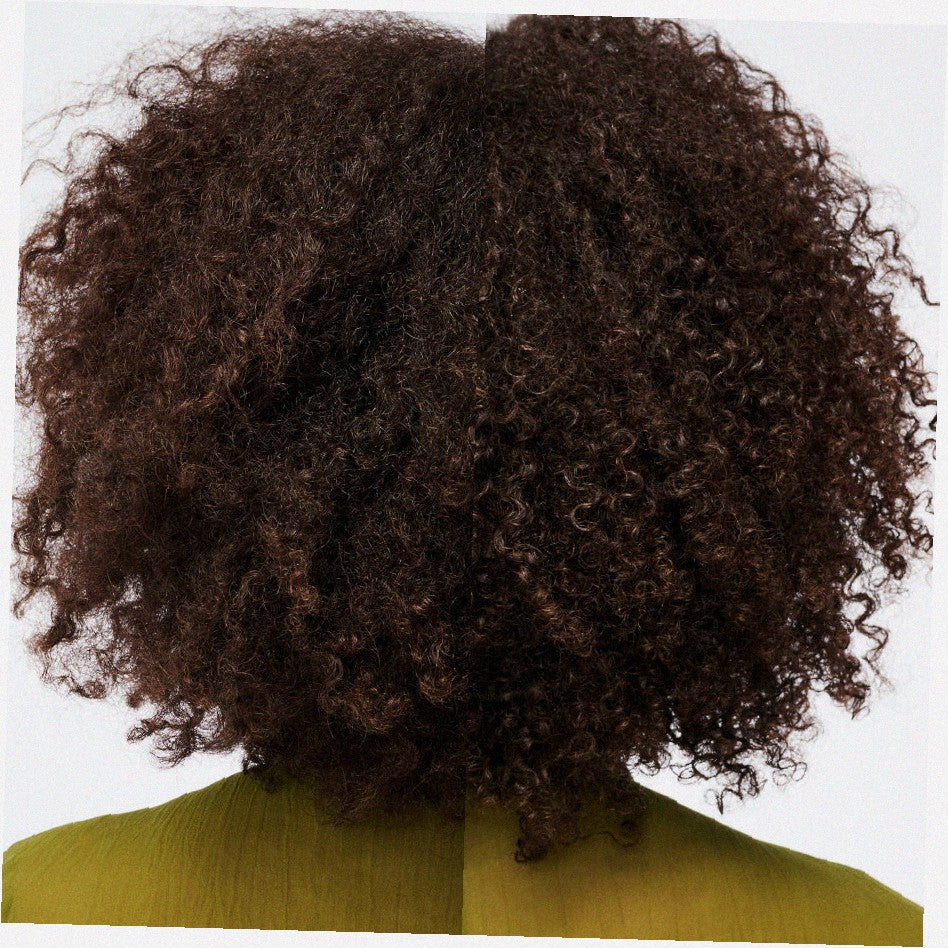 The Leave-In Conditioner